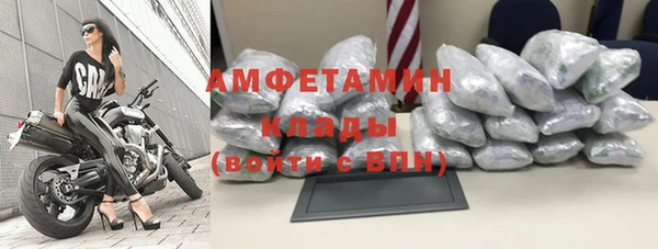 бошки Пересвет