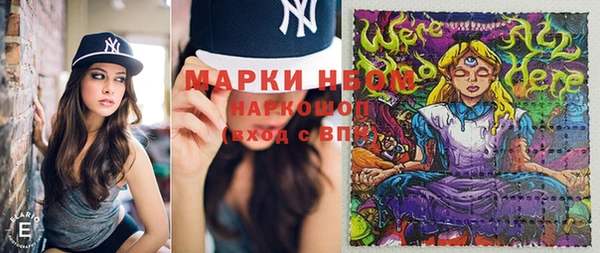 бошки Пересвет