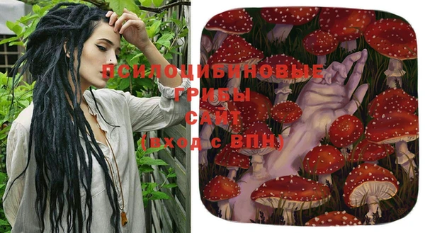 бошки Пересвет