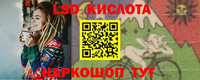 шишки Абакан