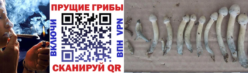 Псилоцибиновые грибы мицелий  магазин    Кулебаки 