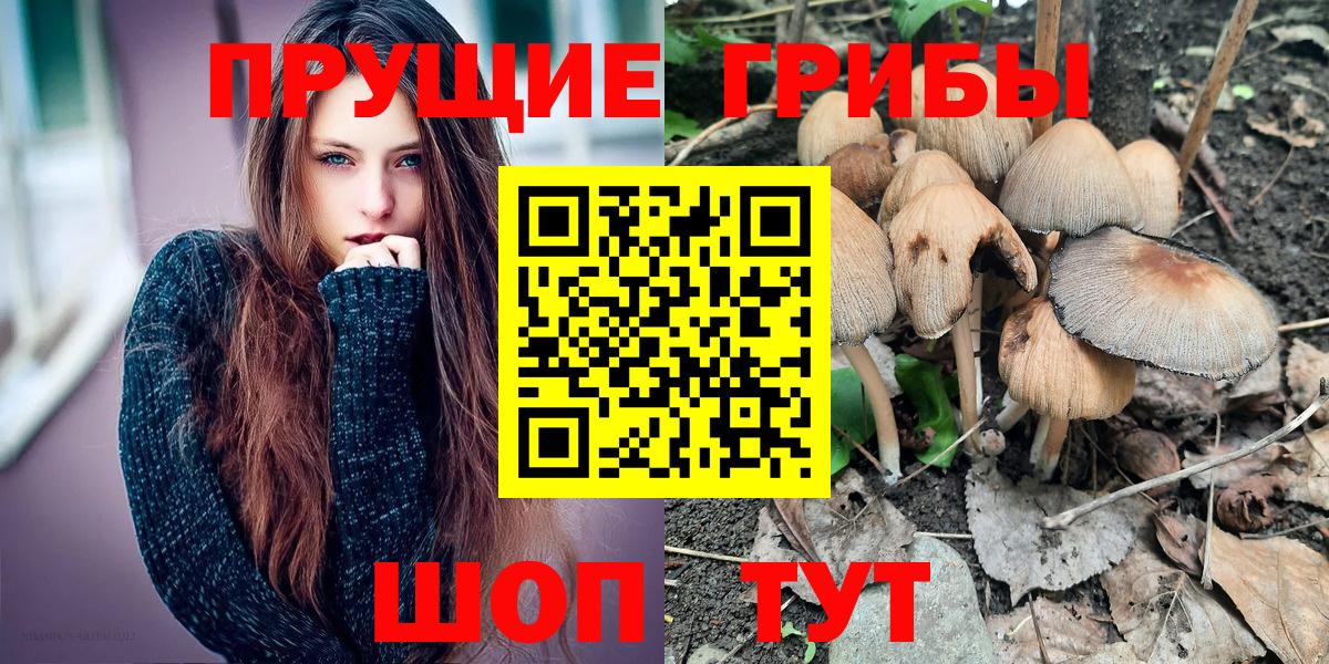 Псилоцибиновые грибы прущие грибы Кулебаки