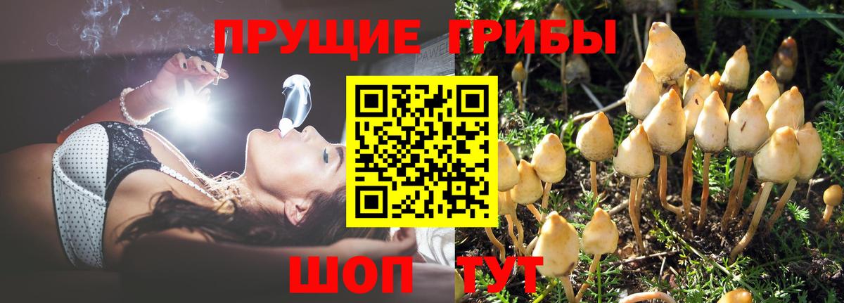как найти закладки  Вход с VPN  Кулебаки  Галлюциногенные грибы ЛСД 